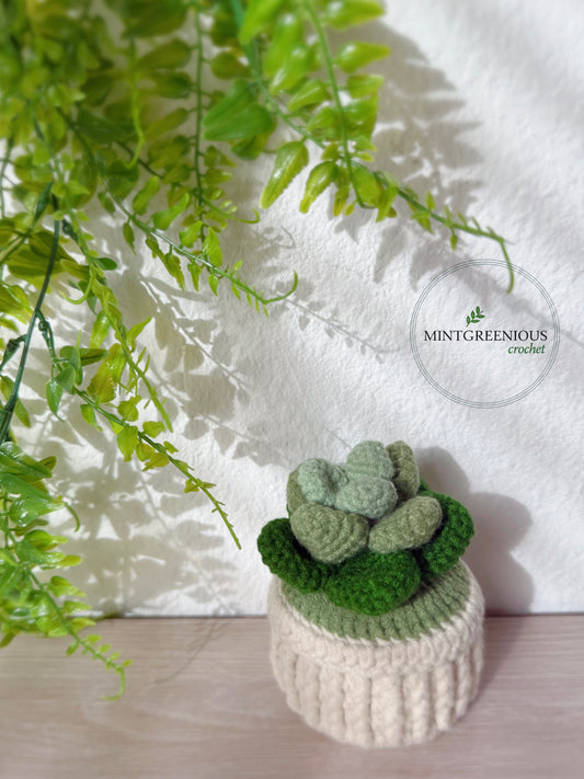 Stone Lotus Pot - Succulent Pot