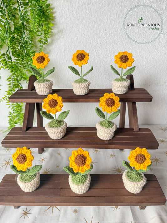 Mini Sunflower Pot