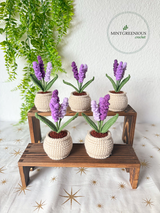 Lavender Pot