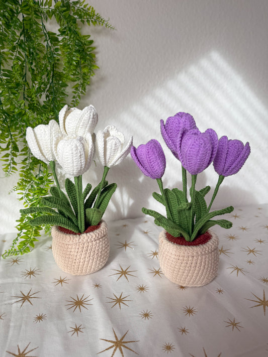 Tulip Pot